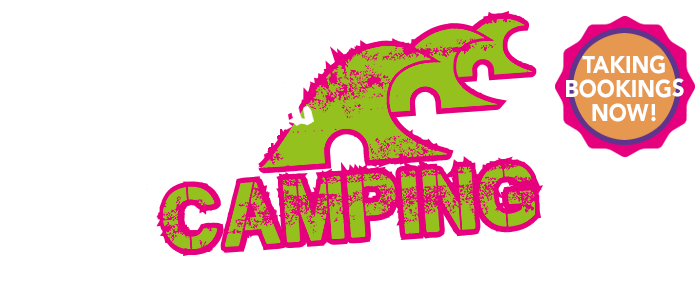 Croyde Festival Camping 2024